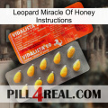 Leopard Miracle Of Honey Instructions new01